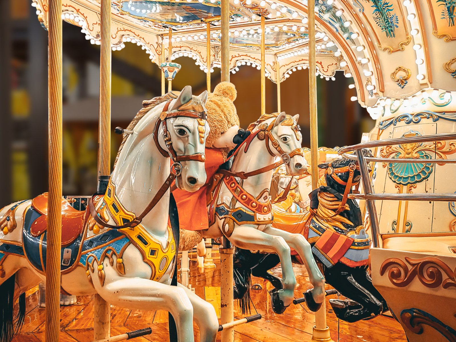 Adrenark Adventure experience