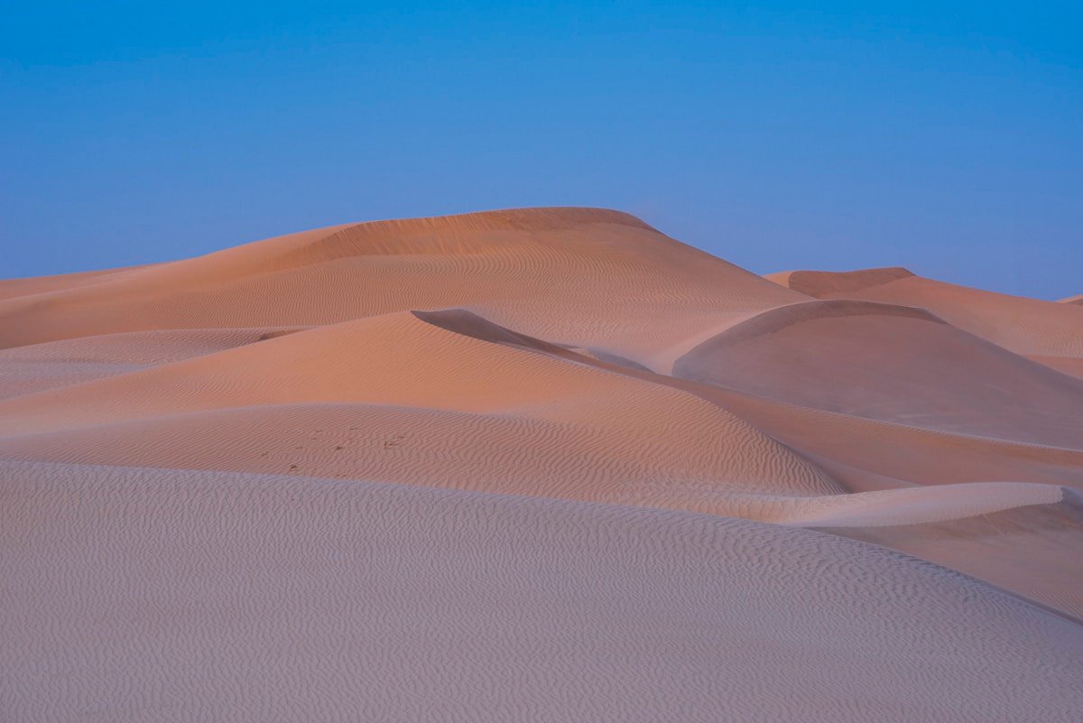 Representative activity image for Overnight Desert Safari